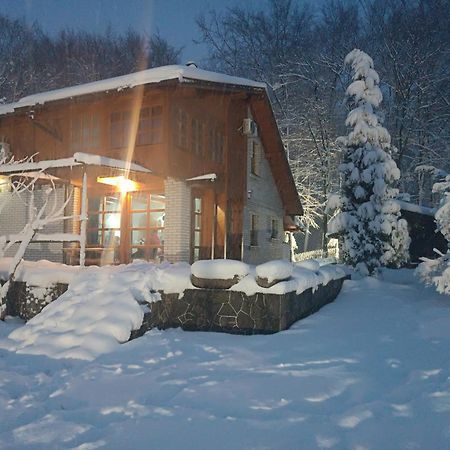 Villa Ema Sarajevo Luaran gambar