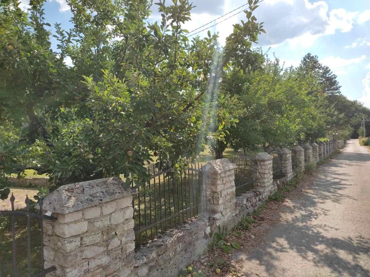 Villa Ema Sarajevo Luaran gambar